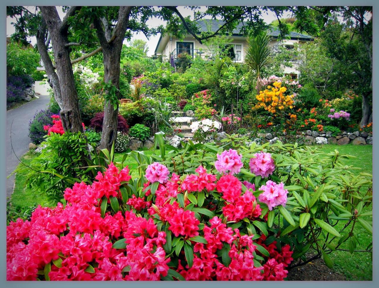 Mcauley Glen Boutique B&B Portobello Eksteriør bilde