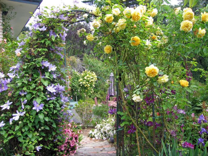 Mcauley Glen Boutique B&B Portobello Eksteriør bilde